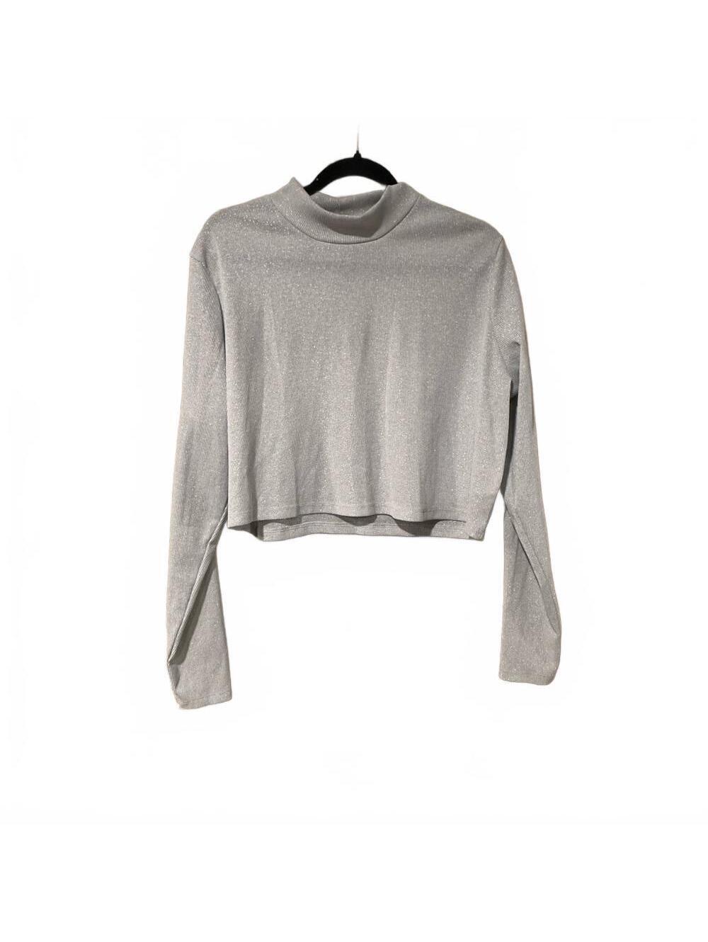 H&M Silver Long Sleeve Crop Top